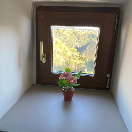 Il Mucchietto Apartamento *