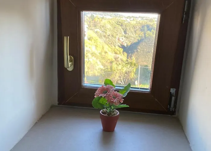 Il Mucchietto דירה *